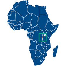 <strong>China aids Africa’s poverty fight through agricultural cooperation</strong>